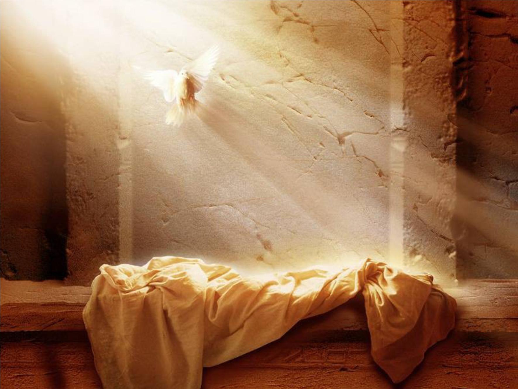 https://baptist.org.md/ro/wp-content/uploads/Bez-imeni-11.jpg